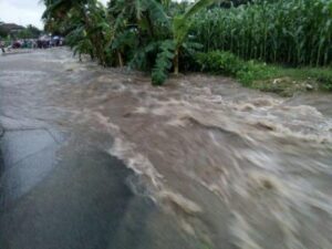 25-wilayah-di-jatim-terancam-banjir-bandang-berikut-daftarnya-e4sSVOSQlg