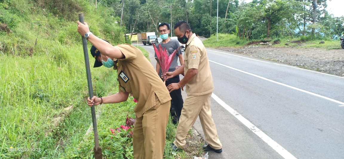 Wujudkan Desa Wisata, Muspika Dan Desa Mulyorejo Tanam 1000 Bunga ...