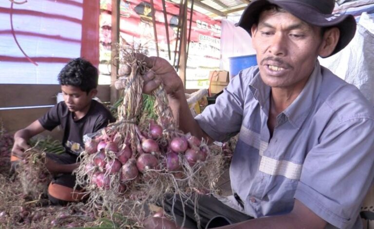 kementerian-pertanian-kementan-terus-berupaya-melakukan-pe-73