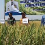 Pertumbuhan Ekonomi di Masa Pandemi Kabupaten Lamongan Penyumbang Lumbung Pangan Jatim