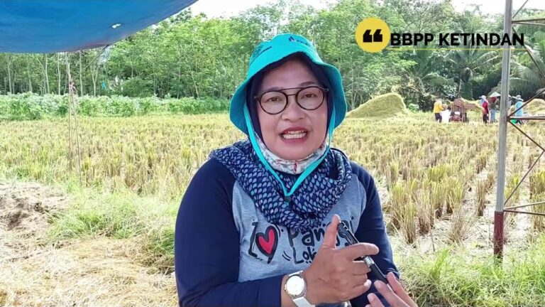 BBPP Ketindan Upaya Peningkatan Produksi Padi di Kabupaten Blitar