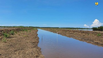 rehabilitasi-dan-peningkatan-irigasi-untuk-pengembangan-food-estate-di-kalteng-dimulai-oktober-2020-dok-pupr_169