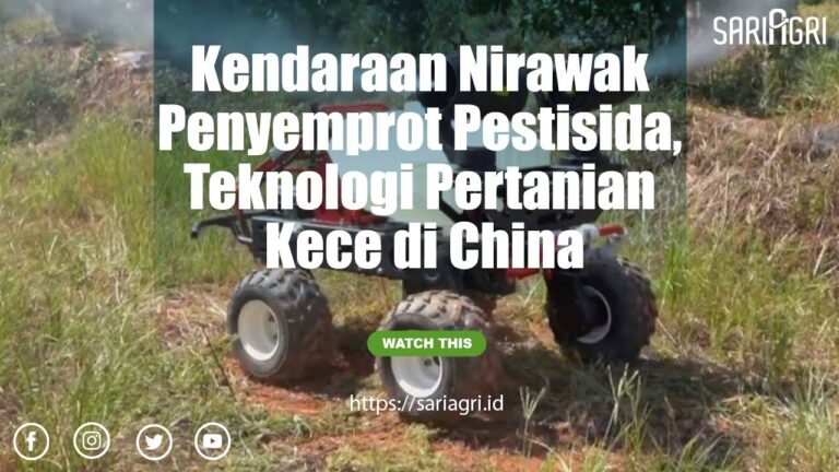 Dongkrak Produk Pertanian Lokal, Gubenur Sumsel Resmikan Pusat Agrowisata